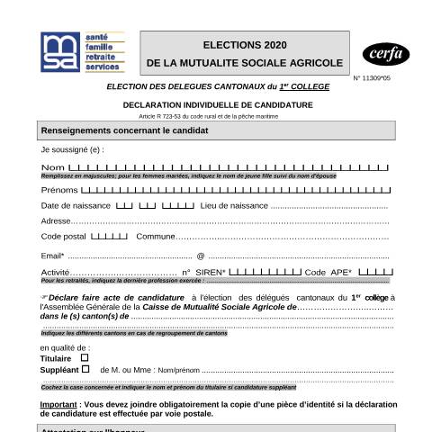 Aperçu du document Déclaration individuelle de candidature - Élection des délégués cantonaux du 1er collège - Mutualité sociale agricole — Particuliers, France (CERFA n°11309*05)