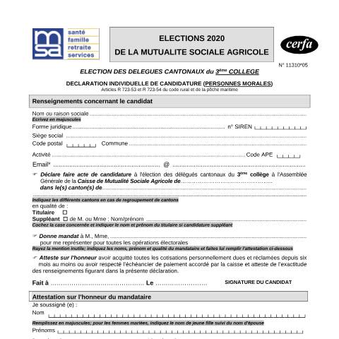 Aperçu du document Déclaration individuelle de candidature - Élection des délégués cantonaux du 3ème collège - Mutualité sociale agricole - Personnes morales — Particuliers, France (CERFA n°11310*05)