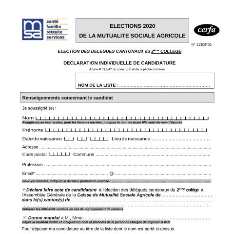 Aperçu du document Déclaration individuelle de candidature - Élection des délégués cantonaux du 2ème collège - Mutualité sociale agricole — Particuliers, France (CERFA n°11308*05)