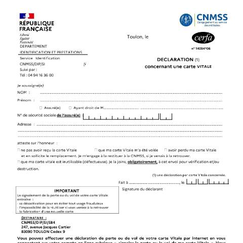 Aperçu du document Déclaration concernant une carte Vitale (Caisse nationale militaire de sécurité nationale) — Particuliers, France (CERFA n°14094*06)