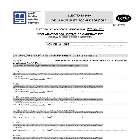 Aperçu du document Déclaration collective de candidature - Élection des délégués cantonaux du 2ème collège - Mutualité sociale agricole — Particuliers, France (CERFA n°13889*03)