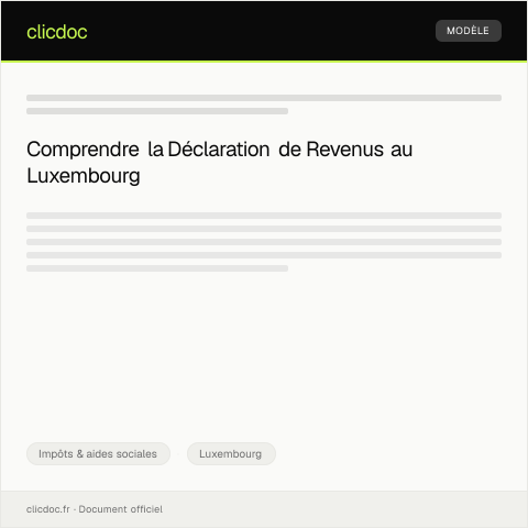 Aperçu du document Déclaration de revenus pour l’année fiscale en cours — Impôts & aides sociales, Luxembourg