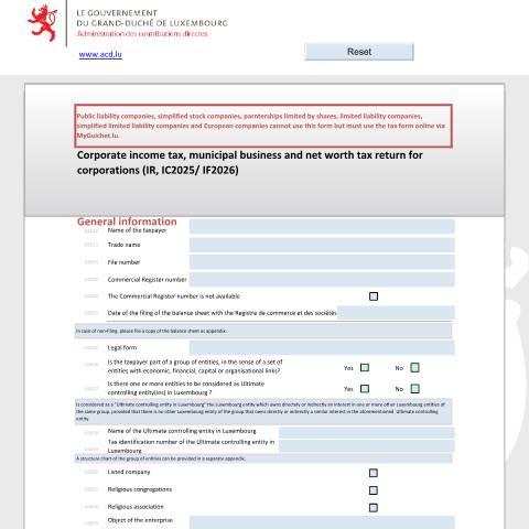 Aperçu du document Corporate income and municipal business tax return for the tax year and net worth tax return for the tax year N+1 — Déclarations téléchargeables au format PDF (pour les années 2021 à 2025), Luxembourg (CERFA n°500 E)