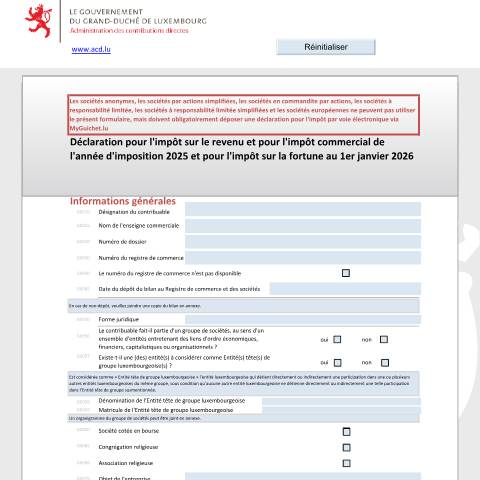 Aperçu du document Déclaration pour l'impôt sur le revenu et l'impôt commercial de l'année d'imposition et pour l'impôt sur la fortune au 1er janvier de l'année d'imposition N+1 — Déclarations téléchargeables au format PDF (pour les années 2021 à 2025), Luxembourg (CERFA n°500 F)