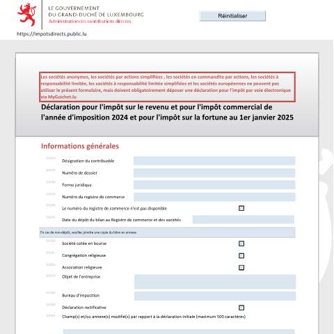 Aperçu du document Déclaration pour l'impôt sur le revenu et l'impôt commercial de l'année d'imposition et pour l'impôt sur la fortune au 1er janvier de l'année d'imposition N+1 — Déclarations téléchargeables au format PDF (pour les années 2021 à 2025), Luxembourg (CERFA n°500 F)