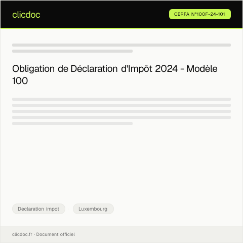 Aperçu du document Déclaration pour l’impôt sur le revenu de l’année 2024 – Modèle 100 sur le site de l’Administration des contributions directes (ACD) — Declaration impot, Luxembourg (CERFA n°100f-24-101)
