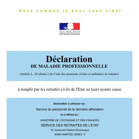 Aperçu du document Déclaration de maladie professionnelle — Particuliers, France (CERFA n°12827*02)
