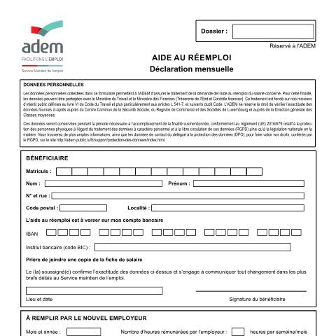 Aperçu du document Déclaration mensuelle pour la demande de l’aide au réemploi — Aides, Luxembourg (CERFA n°reemploi-declaration-mensuelle)