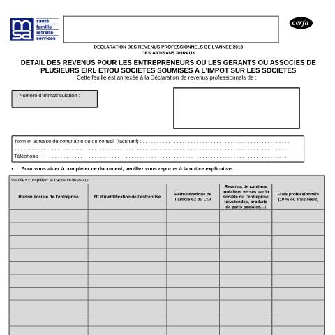 Aperçu du document Déclaration de revenus professionnels des non-salariés agricoles et des cotisants solidaires : détail des revenus des gérants ou associés de sociétés — Professionnels, France (CERFA n°14064*05)