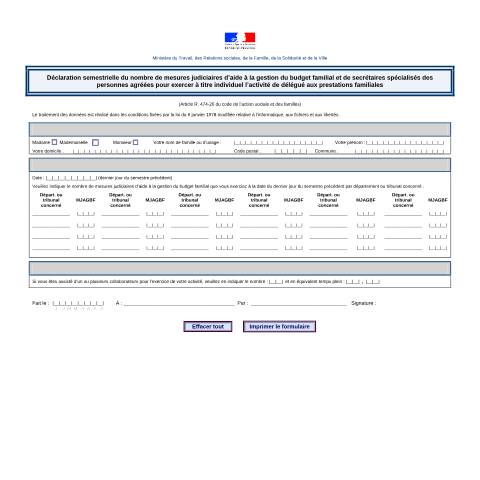 Aperçu du document Déclaration semestrielle du nombre de mesures judiciaires d'aide à la gestion du budget familial — Particuliers, France (CERFA n°13931*01)