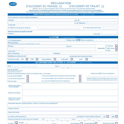 Aperçu du document Déclarer un accident du travail ou de trajet — Particuliers, France (CERFA n°14463*03 (ex-60-3682))