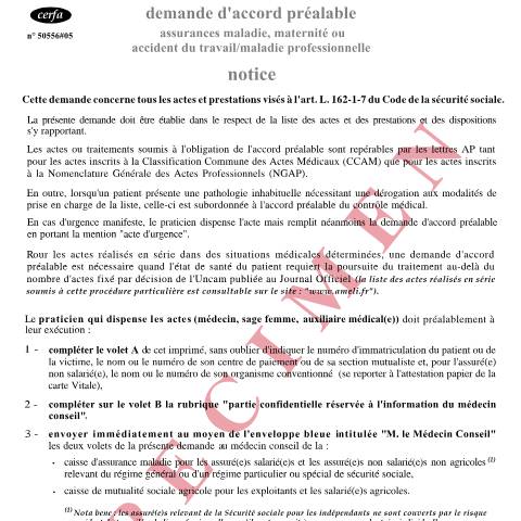 Aperçu du document Demande d'accord préalable (Assurance maladie, maternité, accident du travail, maladie professionnelle) — Particuliers, France (CERFA n°12040*04)