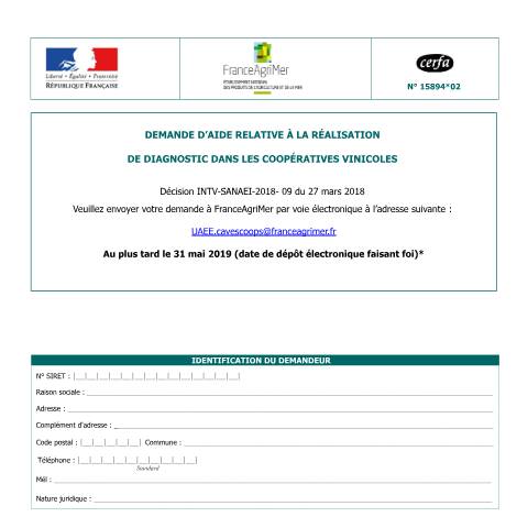 Aperçu du document Demande d'aide relative à la réalisation de diagnostic dans les coopératives vinicoles — Professionnels, France (CERFA n°15894*02)