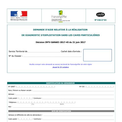 Aperçu du document Demande d'aide relative à la réalisation du diagnostic d'exploitation dans les caves particulières — Professionnels, France (CERFA n°14613*03)