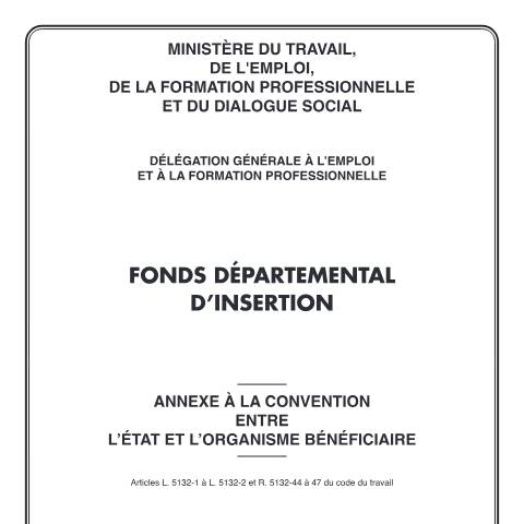 Aperçu du document Demande d'aide du Fonds départemental d'insertion (FDI) — Particuliers, France (CERFA n°12605*03)