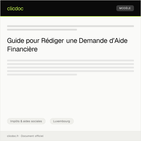 Aperçu du document Demande d’aide financière ou de subvention pour un projet social ou éducatif — Impôts & aides sociales, Luxembourg