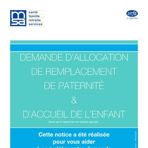 Aperçu du document Demande d'allocation de remplacement paternité (régime des non-salariés agricoles) — Professionnels, France (CERFA n°12043*04)