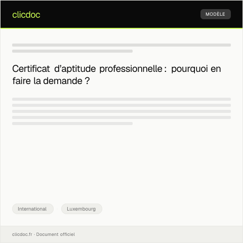 Aperçu du document Demande de certificat d’aptitude professionnelle à l’étranger — International, Luxembourg