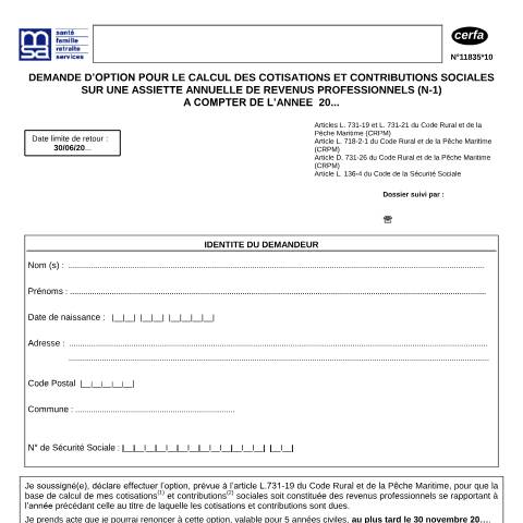 Aperçu du document Demande d'option pour le calcul des cotisations et contributions sociales sur une assiette annuelle de revenus professionnels — Professionnels, France (CERFA n°11835*10)