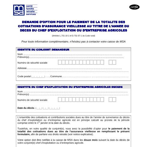 Aperçu du document Demande d'option pour le paiement de la totalité des cotisations d'assurance vieillesse — Professionnels, France (CERFA n°14010*01)