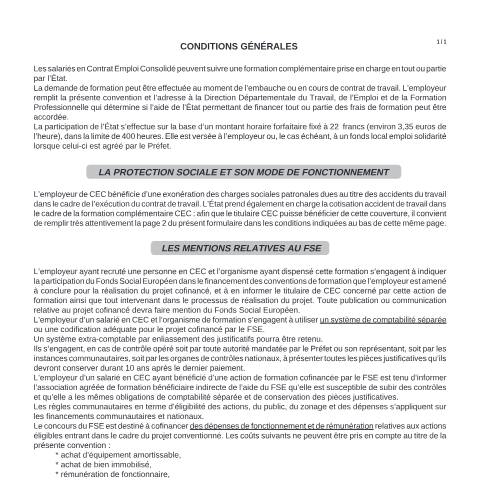 Aperçu du document Demande de prise en charge de la cotisation accident de travail - formation complémentaire d'un salarié en contrat emploi consolidé — Professionnels, France (CERFA n°11619*01)