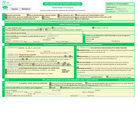 Aperçu du document Demande de rapport d’une radiation d’office - Personne physique (P2) — Professionnels, France (CERFA n°11678*08)