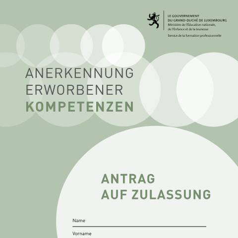 Aperçu du document de Anerkennung erworbener Kompetenzen – Antrag auf Zulassung — Diplomes, Luxembourg (CERFA n°demande-recevabilite-vae)
