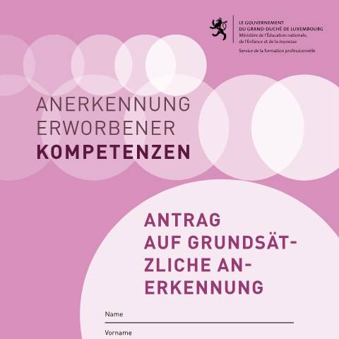 Aperçu du document de Anerkennung erworbener Kompetenzen – Antrag auf grundsätzliche Anerkennung — Diplomes, Luxembourg (CERFA n°demande-validation-vae-fond)