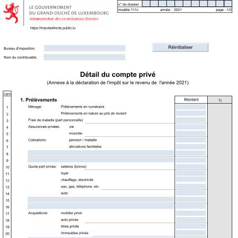 Aperçu du document Détail du compte privé — Annexes et bonifications d'impôt, Luxembourg (CERFA n°111c)