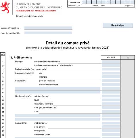 Aperçu du document Détail du compte privé — Annexes et bonifications d'impôt, Luxembourg (CERFA n°111c)