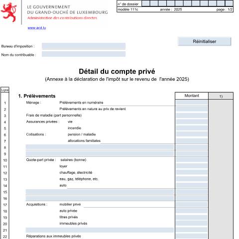 Aperçu du document Détail du compte privé — Annexes et bonifications d'impôt, Luxembourg (CERFA n°111c)