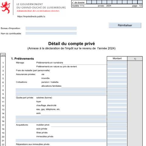 Aperçu du document Détail du compte privé — Annexes et bonifications d'impôt, Luxembourg (CERFA n°111c)