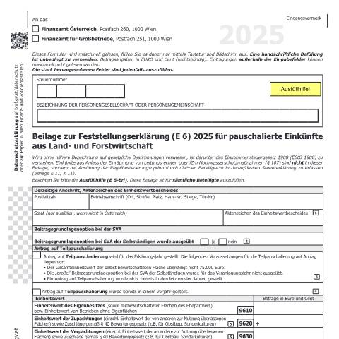 Dokumentvorschau: E6c — Beilage zur Feststellungserklärung (E 6) 2025 für pauschalierte Einkünfte aus Land- und Forstwirtschaft — Steuern, Österreich (CERFA n°E6c)