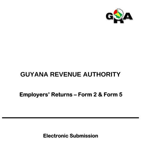 Document preview: Employers Returns Form2 Electronic File Format V2 — Income Tax, Guyana