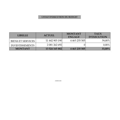 Aperçu du document ETAT DEXECUTION DU BUDGET 2022 — Budget, Côte d'Ivoire