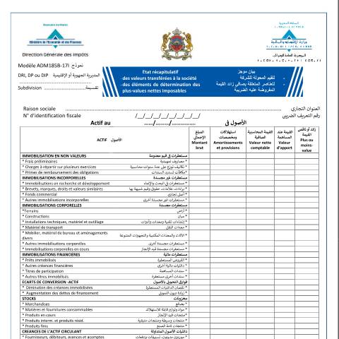 Aperçu du document Etat récapitulatif des valeurs transférées à la société et des éléments de détermination des plus-values nettes imposables — Impôt sur le revenu, Maroc (CERFA n°ADM185B-17I)