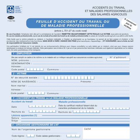 Aperçu du document Feuille d'accident du travail ou maladie professionnelle pour les salariés agricoles — Particuliers, France (CERFA n°11451*04)