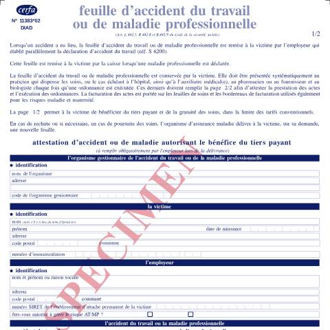 Aperçu du document Feuille d'accident du travail ou de maladie professionnelle (spécimen) — Particuliers, France (CERFA n°11383*02)