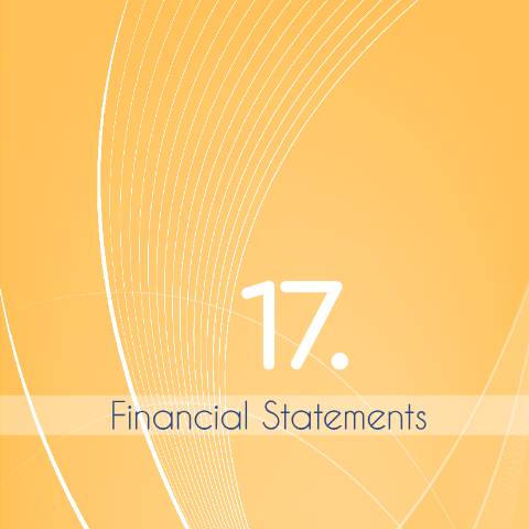 Document preview: Financial statements — Document, Mauritius (CERFA n°AR1819-17)