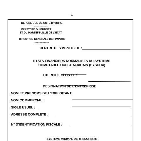 Aperçu du document 20 SMT — Imprimé / Formulaire fiscal, Côte d'Ivoire