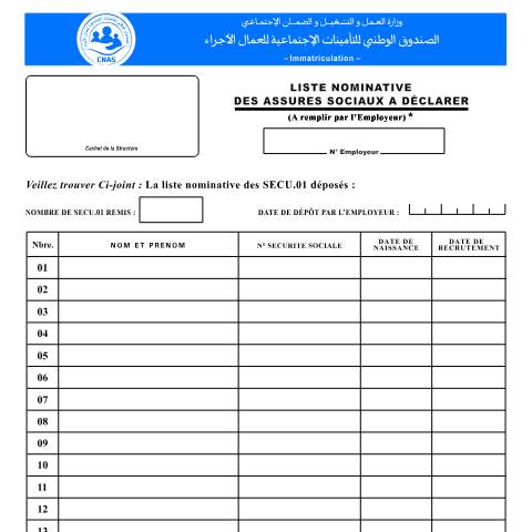 Aperçu du document IM-13 Liste nominative des assurés sociaux à déclarer — CNAS — Formulaires Sécurité sociale, Algérie (CERFA n°IM-13)