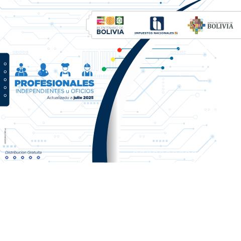 Vista previa del documento TEXTO PROFESIONALES — Llenado de formularios 110 / 610, Bolivia