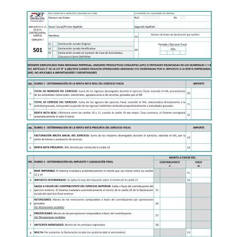 Vista previa del documento Formulario N° 501 - IRE SIMPLE Régimen Simple Versión 1 — Declaraciones Juradas / IRE, Paraguay (CERFA n°F501)
