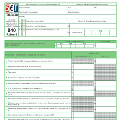 Vista previa del documento Formulario Nº 840 Rubro 4 — Declaraciones Juradas, Paraguay (CERFA n°F840)