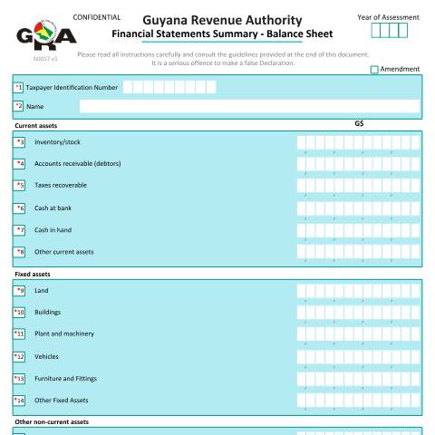 Document preview: G0017 Fin Statements Summary Balance Sheet v2 — Administrative Forms, Guyana