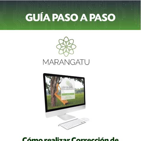 Vista previa del documento Guía paso a paso Nuevo Marangatu - Cómo realizar la Corrección de Numeración Utilizada (Preimpresos) — Guias, Paraguay