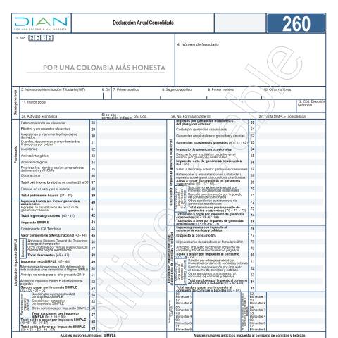 Vista previa del documento Declaración Anual Consolidada - Resolución 000095 de Octubre 1 del 2020 — Año 2020, Colombia (CERFA n°F260-2020)