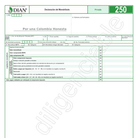 Vista previa del documento Declaración del Monotributo - Resolución 4 de enero 15 de 2019 — Año 2019, Colombia (CERFA n°F250-2019)