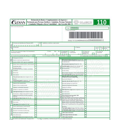 Vista previa del documento Declaración de renta y complementarios personas jurídicas y personas naturales asimiladas obligadas a llevar contabilidad - año gravable 2004 — Año 2005, Colombia (CERFA n°F110-2005)