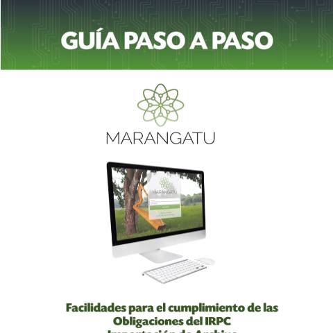 Vista previa del documento Guias paso a paso - Importación de archivo - IRPC — Guias / IRP, Paraguay